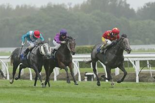 Mime heads Karaka Trifecta in Group 2 Travis Stakes. Photo: Trish Dunell.